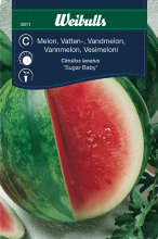 Vannmelon "Sugar baby"